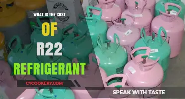 Understanding the Expensive Reality of R22 Refrigerant Costs Today