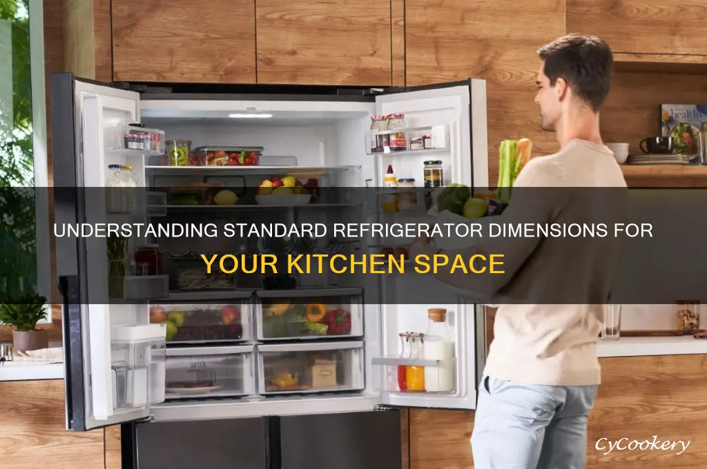 what is the dimensions of a refrigerator