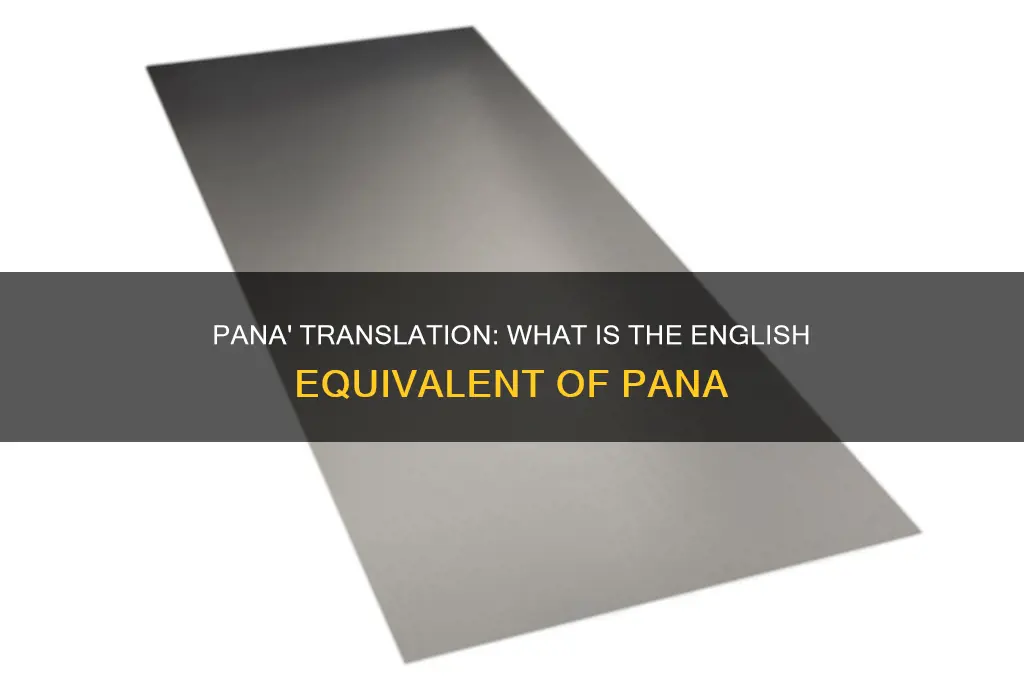 what is the english of pana