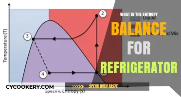 Understanding Refrigerator Entropy Balance: Principles and Efficiency Explained
