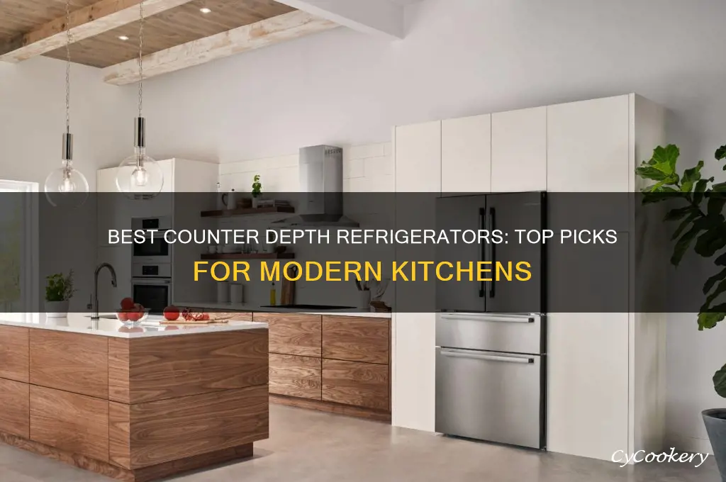 what is the est counter depth refrigerator