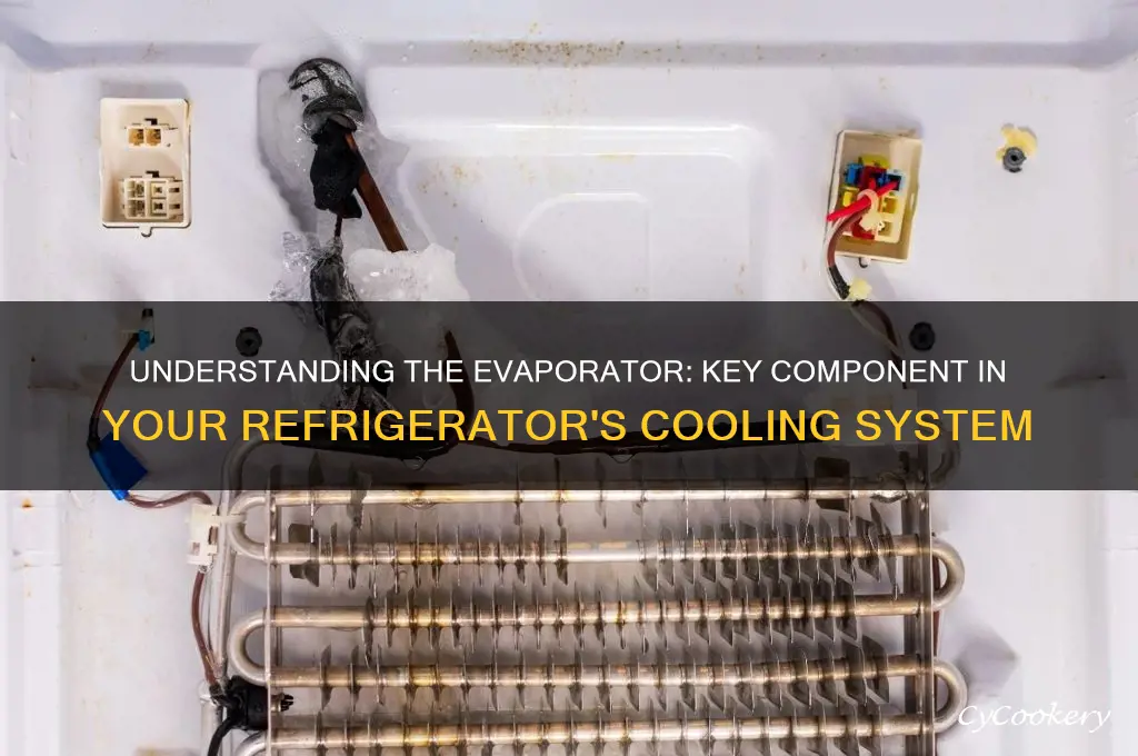 what is the evaporator in a refrigerator