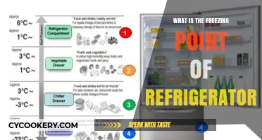Understanding the Optimal Freezing Point of Your Refrigerator for Food Safety