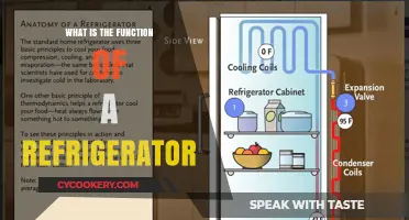 How Refrigerators Work: Essential Functions and Benefits Explained
