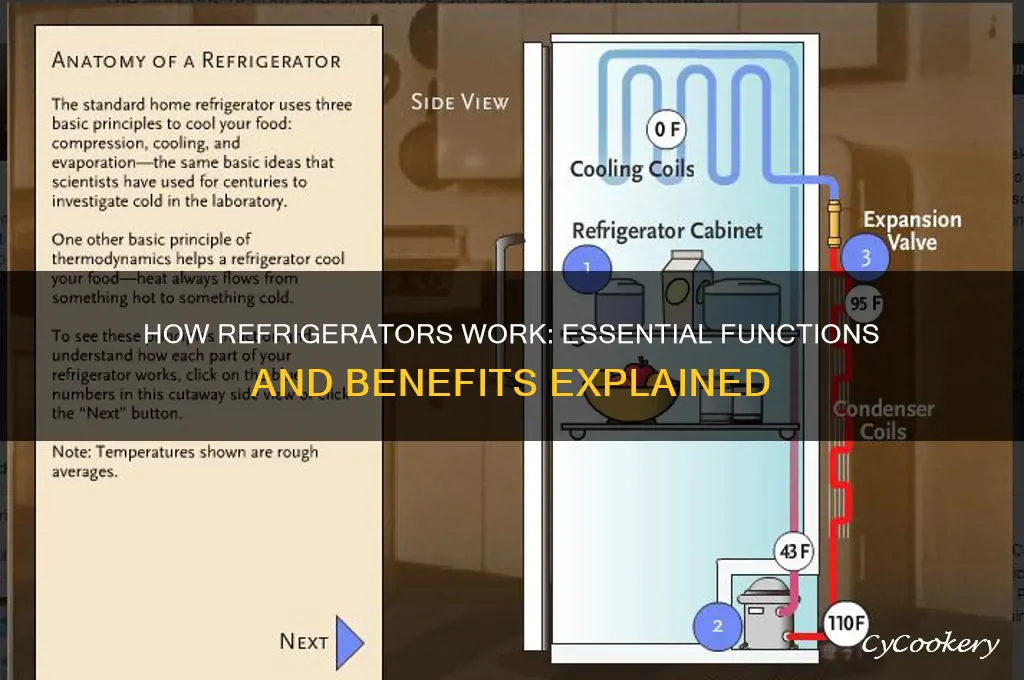 what is the function of a refrigerator