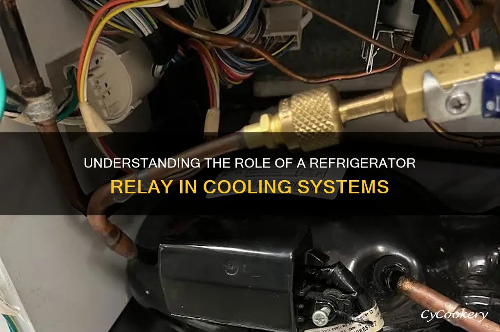 what is the function of refrigerator relay