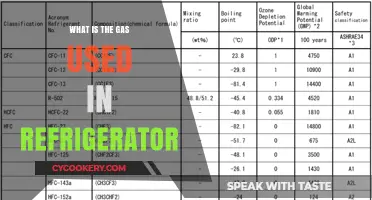 Understanding the Refrigerant Gas Used in Modern Refrigerators