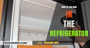 Unraveling the Mystery: What is the Hair in the Refrigerator?