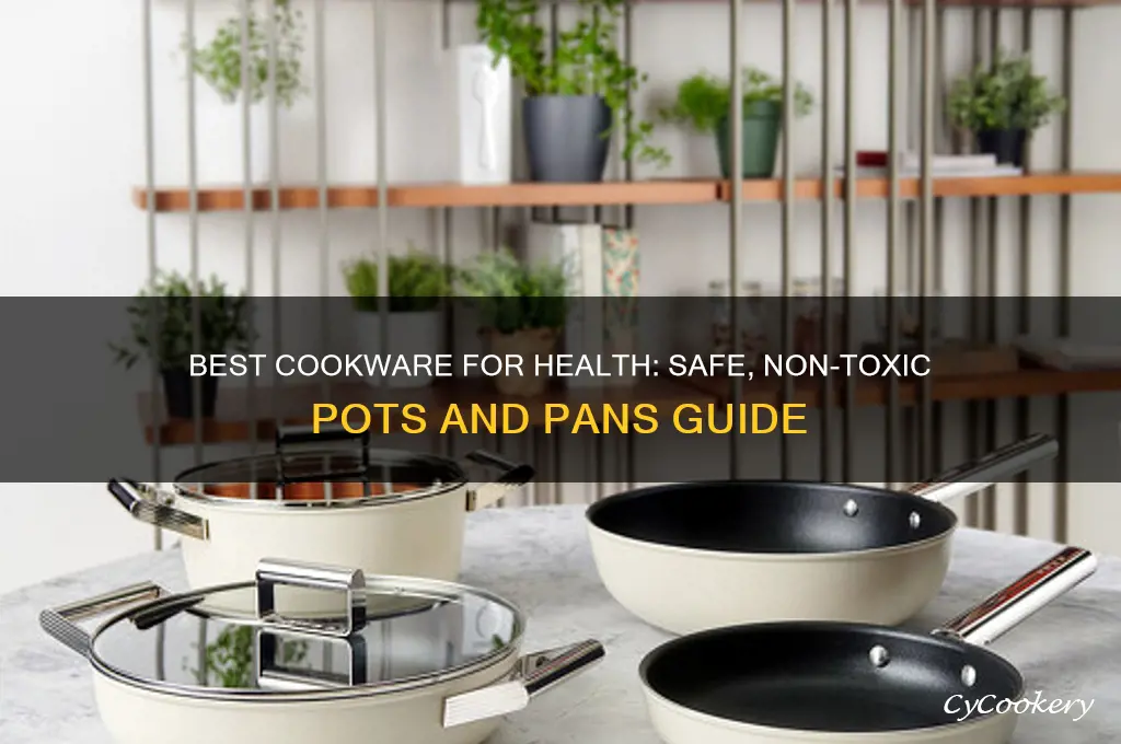 what is the healtiest pans and pots to cook with