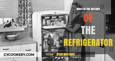The Evolution of Refrigeration: A Journey Through Time