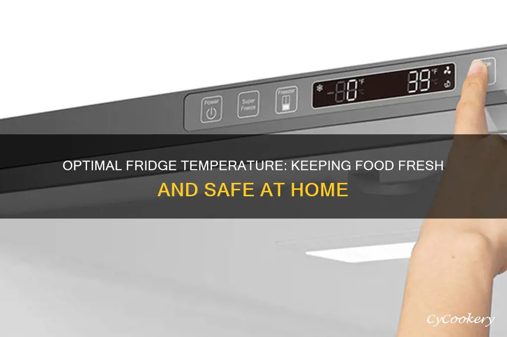what is the ideal refrigerator temperature range