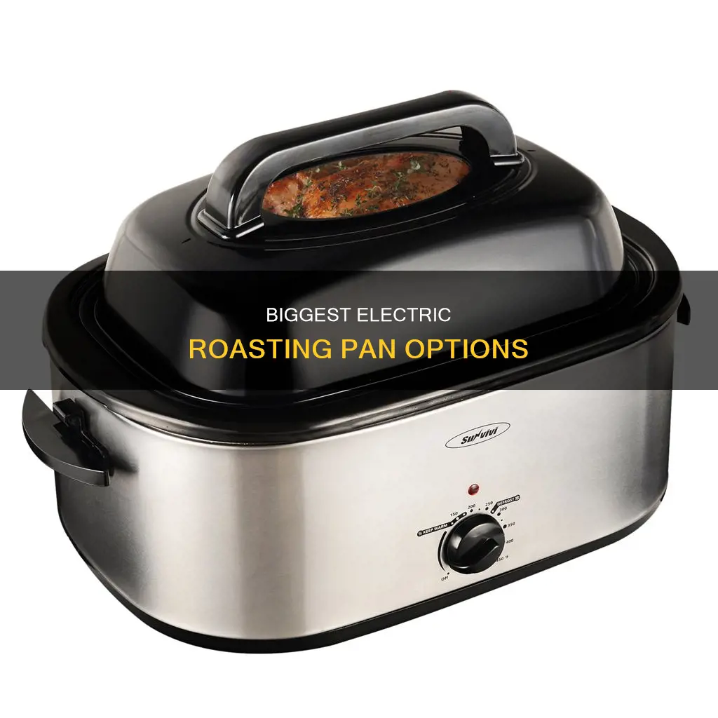 what is the largest electric roasting pan