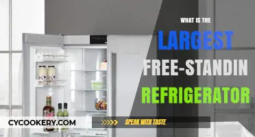 Discover the Largest Free-Standing Refrigerator Models Available Today