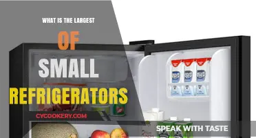 Compact Yet Spacious: Exploring the Largest Small Refrigerator Options