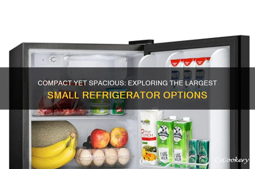 what is the largest of small refrigerators