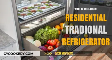 Discover the Largest Traditional Residential Refrigerator Models Available Today