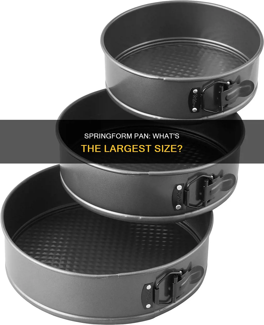 what is the largest size springform pan