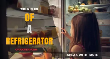 The Chilling Journey: A Refrigerator's Lifespan and Daily Role