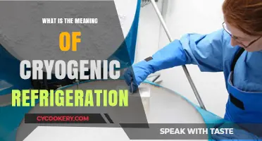 Understanding Cryogenic Refrigeration: Extreme Cooling for Advanced Applications