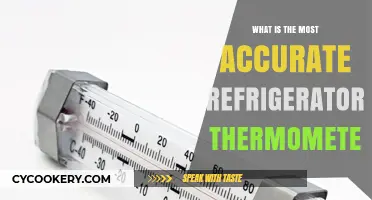Finding the Most Accurate Refrigerator Thermometer for Food Safety