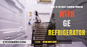 Common GE Refrigerator Issues: Troubleshooting Tips and Solutions