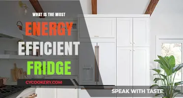 Top Energy-Efficient Fridges: Save Power and Reduce Bills