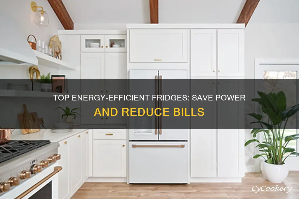 what is the most energy efficient fridge