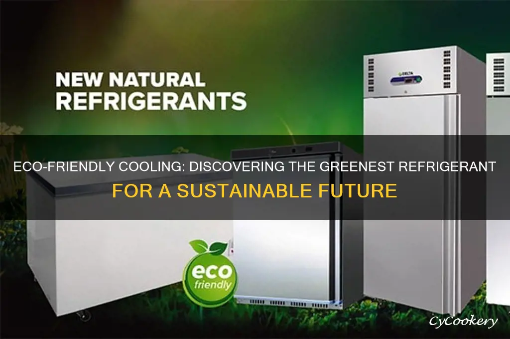 what is the most environmentally friendly refrigerant