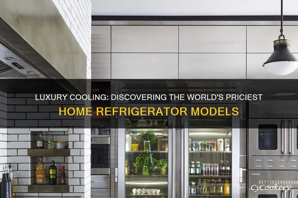 what is the most expensive home refrigerator
