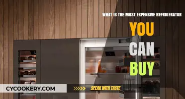 Luxury Cooling: Discover the World's Priciest Refrigerator Models