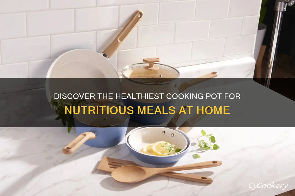 what is the most healthy cooking pot