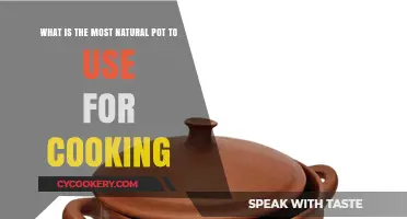 Discover the Most Natural Pot for Healthy, Eco-Friendly Cooking