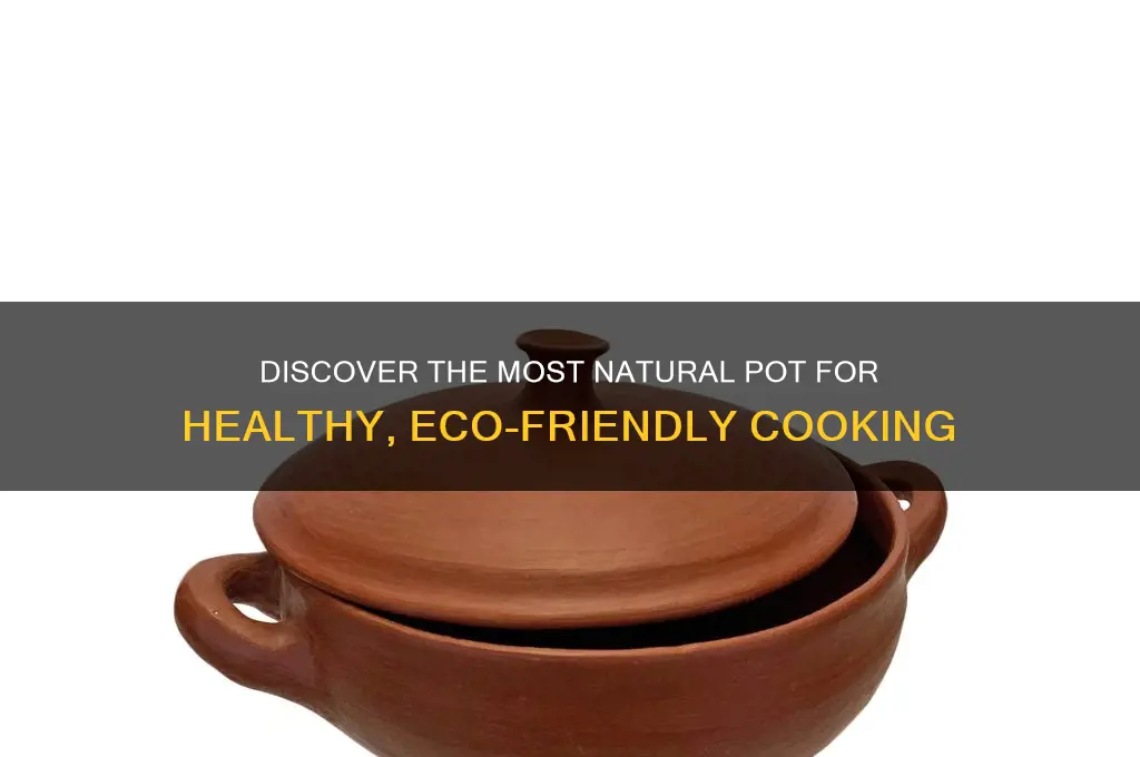 what is the most natural pot to use for cooking