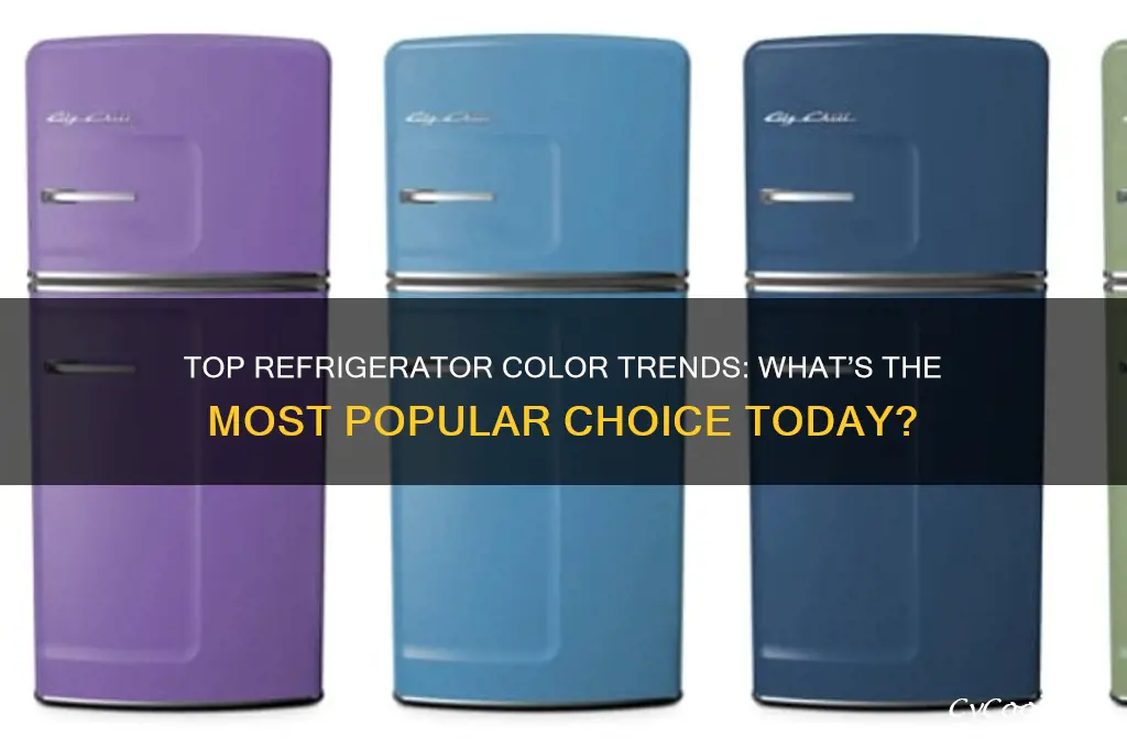 what is the most popular refrigerator color