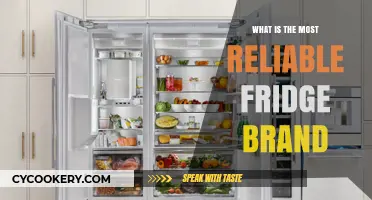 Discover the Most Reliable Fridge Brand for Long-Lasting Performance
