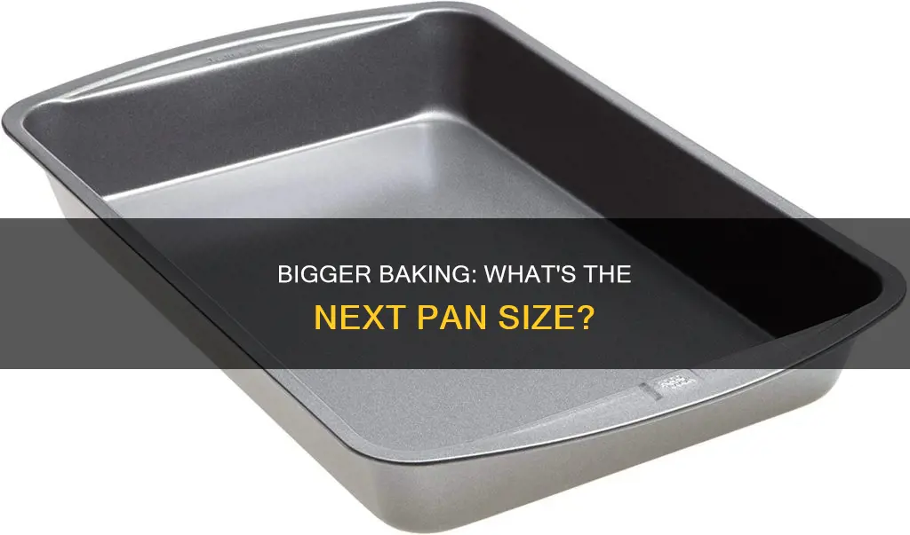 what is the next size up from 9x13 pan