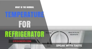 Optimal Refrigerator Temperature: What’s Normal for Fresh Food Storage?