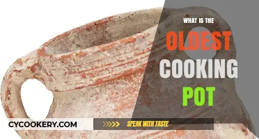 Unveiling the Ancient Origins of the World's Oldest Cooking Pot
