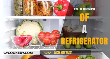 Understanding the Primary Output of a Refrigerator: Cooling and Preservation