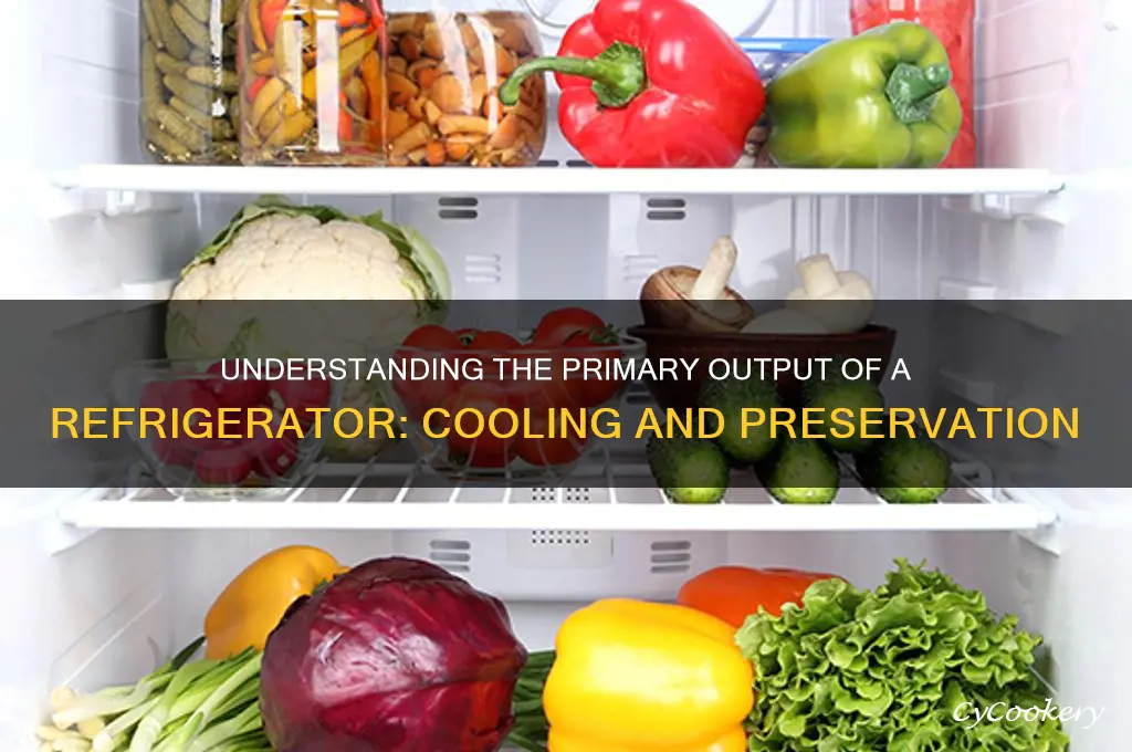 what is the output of a refrigerator