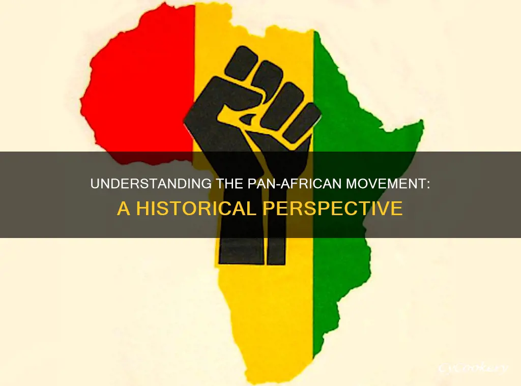 what is the pan african movement