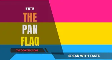 The Pan Flag: Its Meaning and Significance