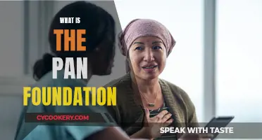 The PAN Foundation: Support for the Underserved