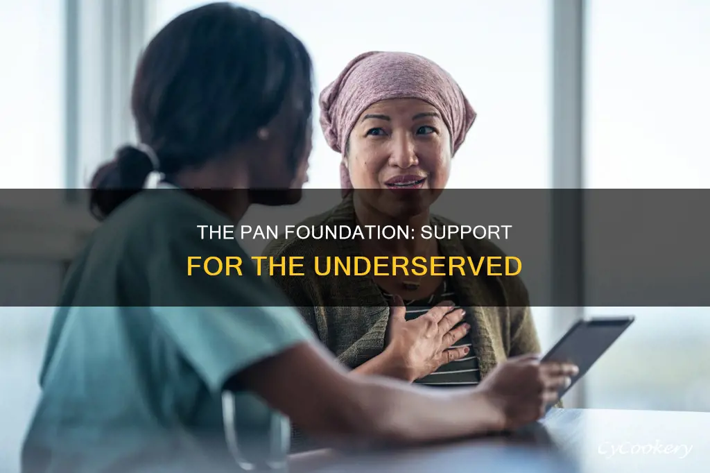 what is the pan foundation