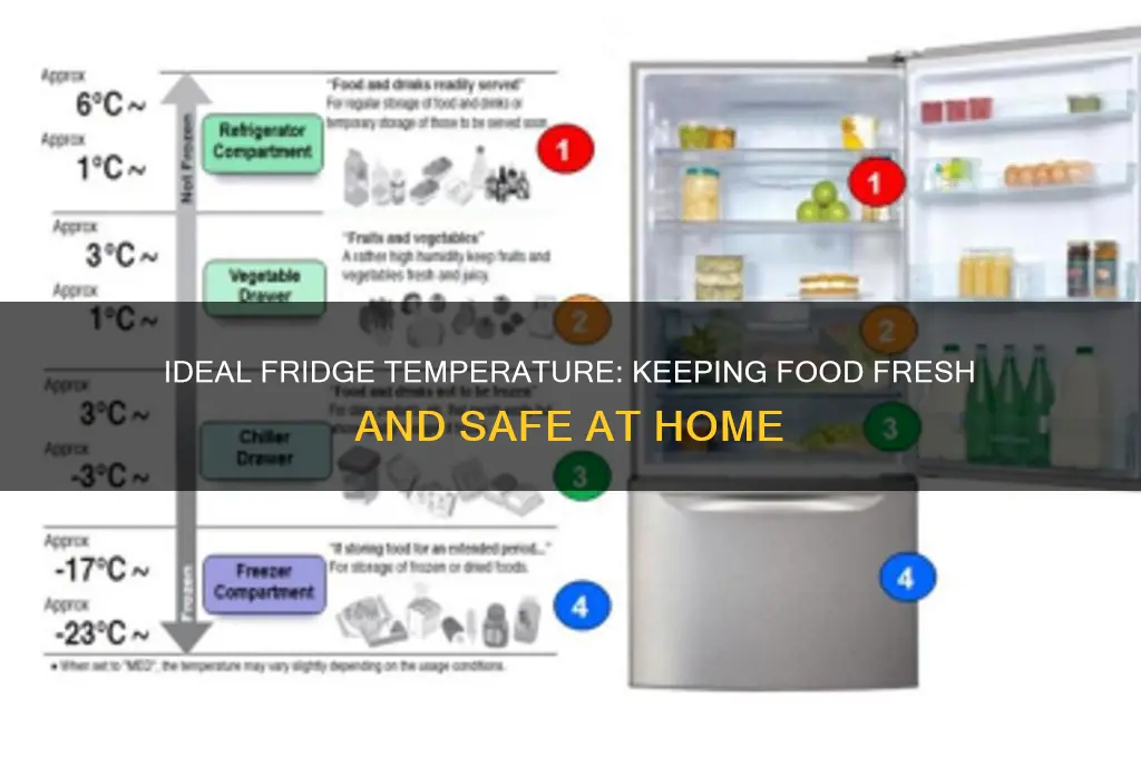 what is the perfect temp for refrigerator