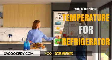 Optimal Fridge Temperature: Preserving Freshness and Safety in Your Refrigerator