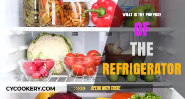 The Essential Role of Refrigerators in Modern Food Preservation
