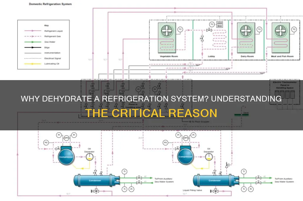what is the reason for dehydrating a refrigeration system