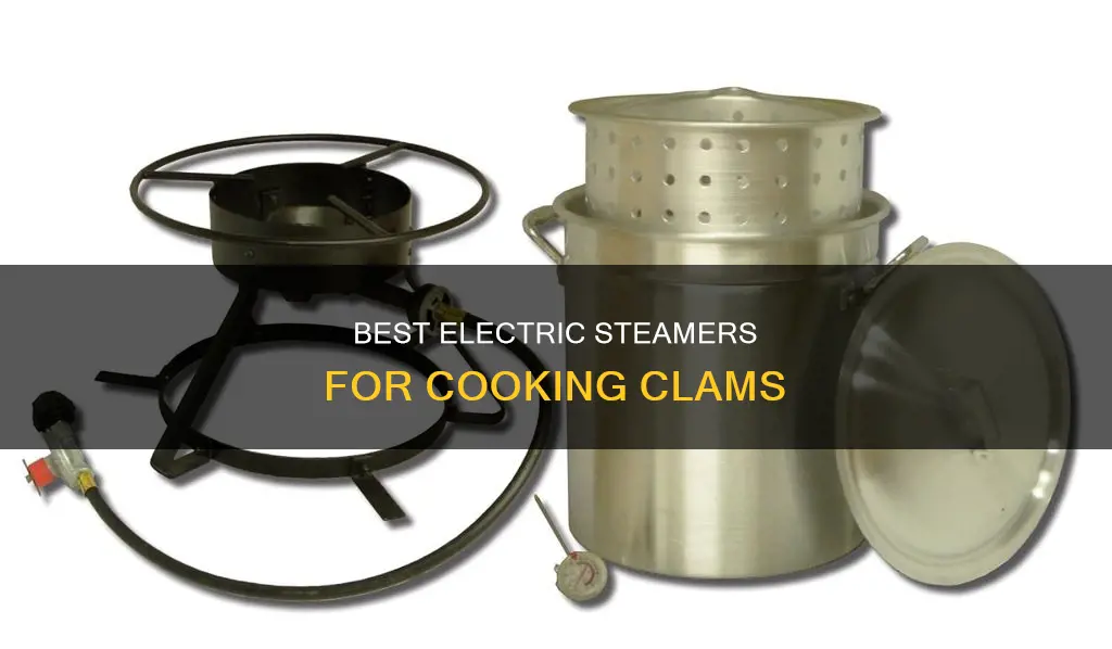 what is the recommended electric steamer to cook clams