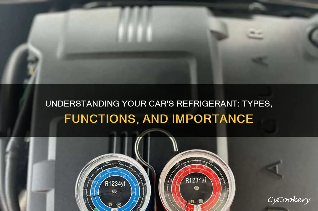 what is the refrigerant in a car